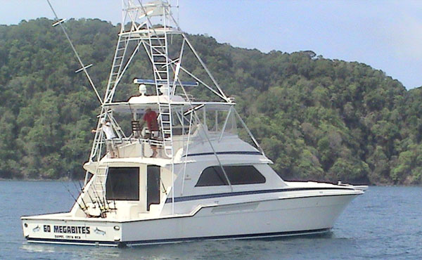 65 Ft Bertram Fishing Boat